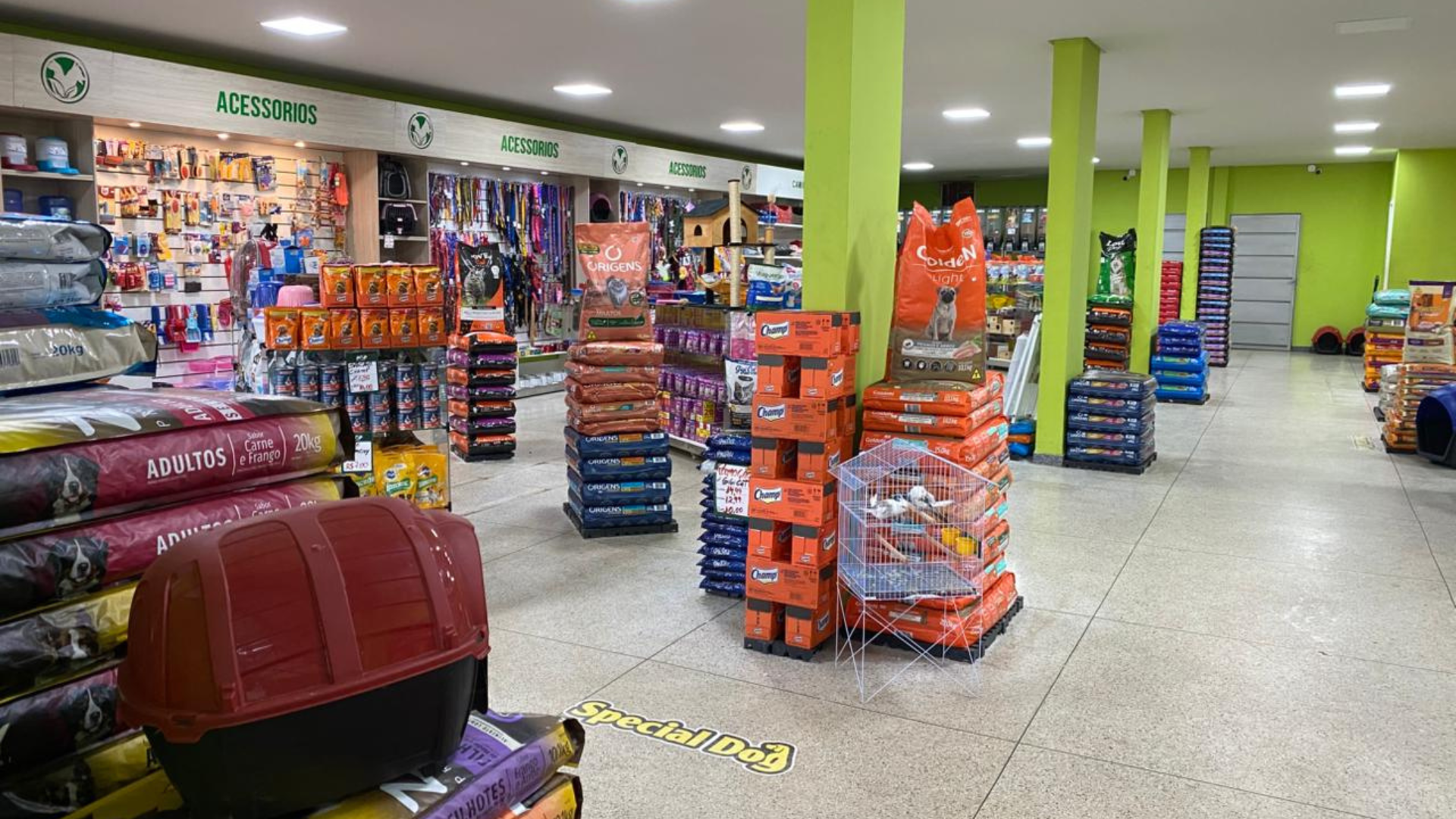 Rede Pop Canedo Pedro Miranda